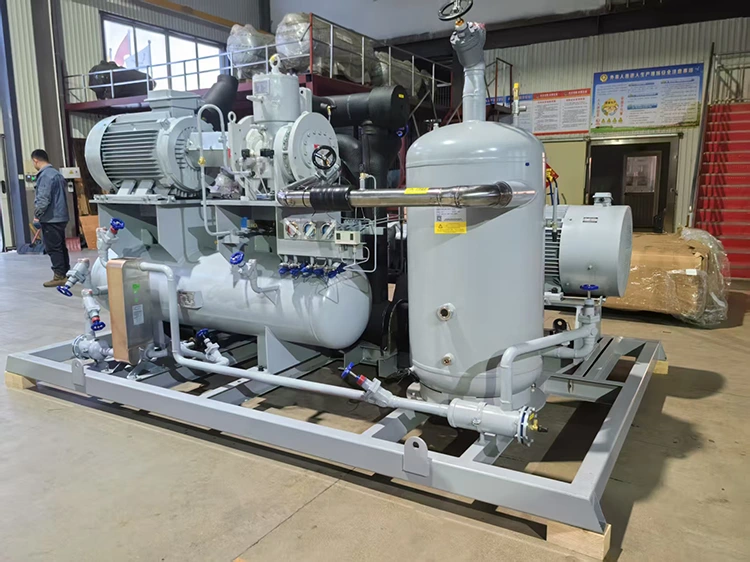 Miglioramento dell'efficienza della refrigerazione industriale con unità di refrigerazione a vite monostadio di tipo aperto