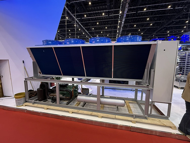 Unità compressore di refrigerazione alternativo raffreddato ad aria