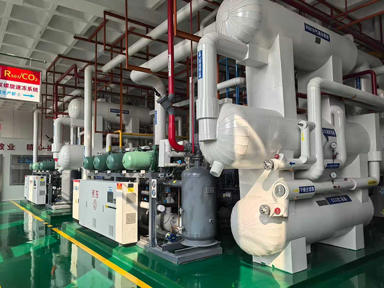 Unità di compressione per refrigerazione subcritica a CO₂